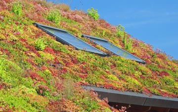Marsh Benham living roof systems
